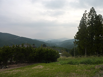 M邸もうすぐ完成