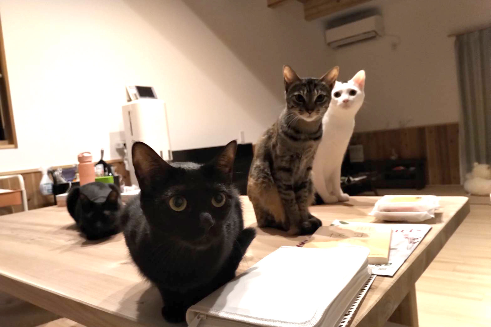 お月見テラスの家