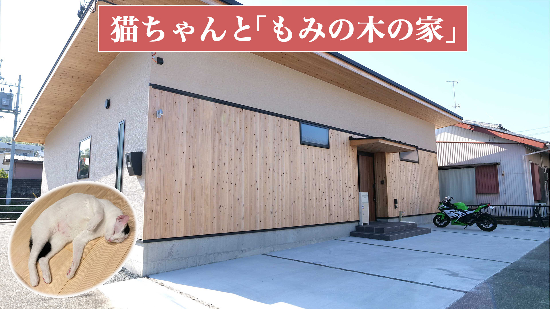 猫ちゃんともみの木の家
